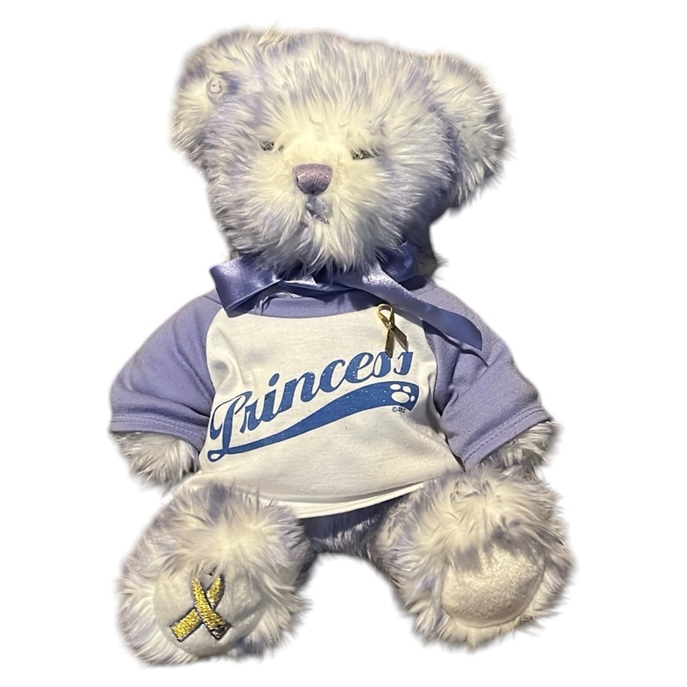 💰BOGO FREE 2002 Nikki’s Bear Pediatric Cancer Awareness BAB Plush
